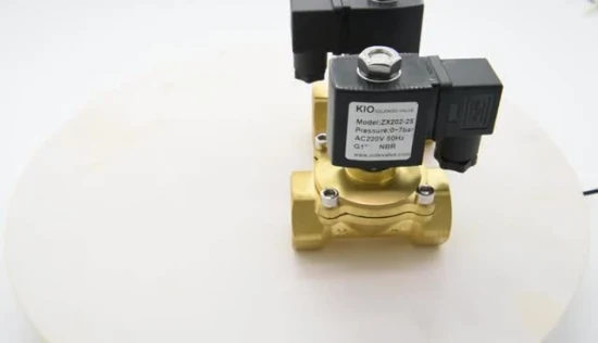 Válvula solenoide de latão de ação direta geral (Zx202-20)